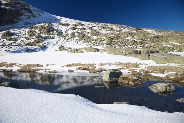 Río en la montaña de nieve en Gredos —  Fotos de Stock