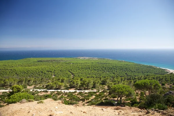 Aerial view of Cadiz coastline — Stock Photo, Image
