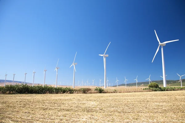 Stor grupp av vindkraftverk makt — Stockfoto