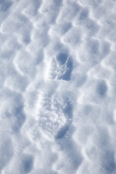 Footprints on ice — Stock Photo, Image