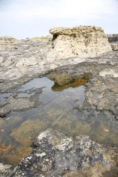 岩の上の大きな水たまり — ストック写真