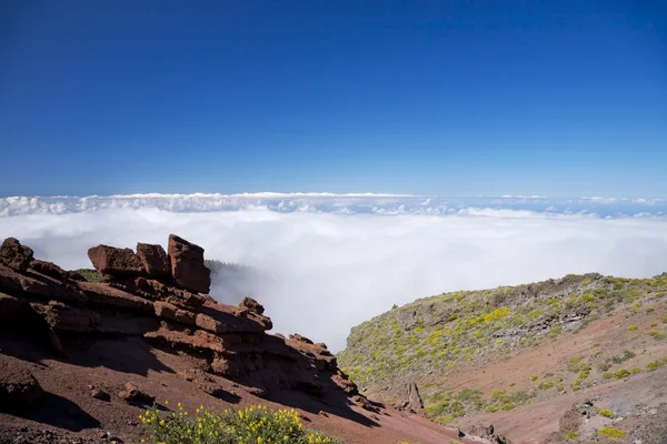 Alto paesaggio a La Palma — Foto Stock