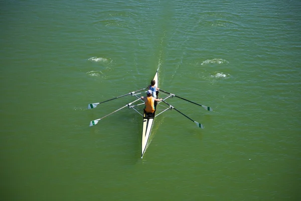 stock image Rowing on green water