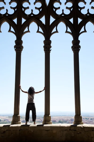 Lleida Katedrali şehri izlerken — Stok fotoğraf