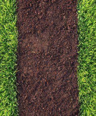 Healthy grass and soil pattern clipart