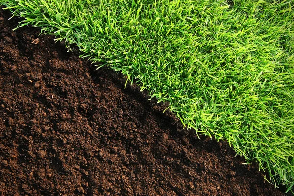 Wzór zdrowy trawy i gleby — Zdjęcie stockowe