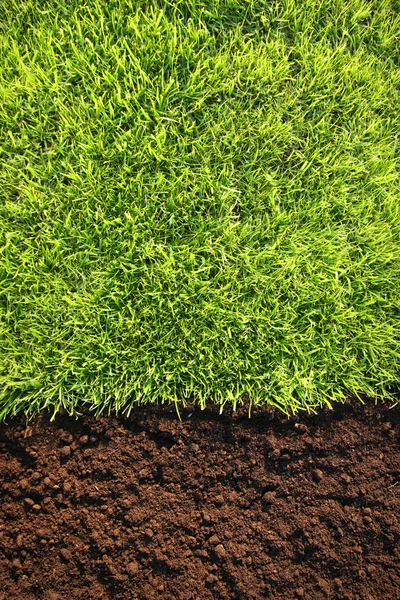 健康の草および土のパターン — ストック写真