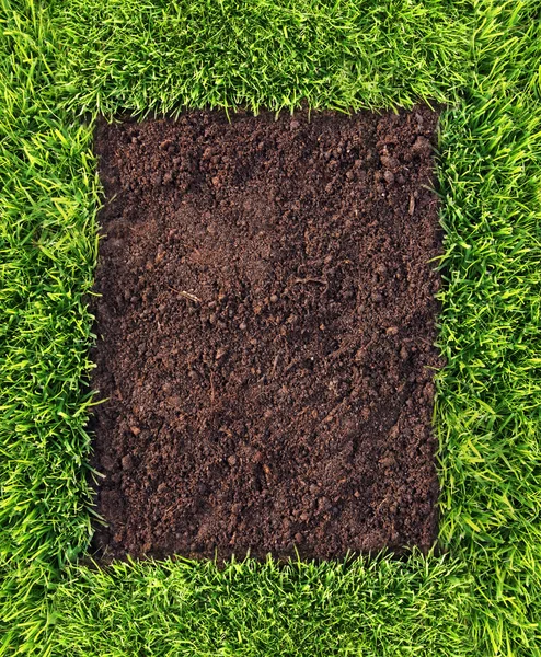 Hierba sana y patrón de suelo —  Fotos de Stock