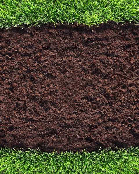 健康の草および土のパターン — ストック写真
