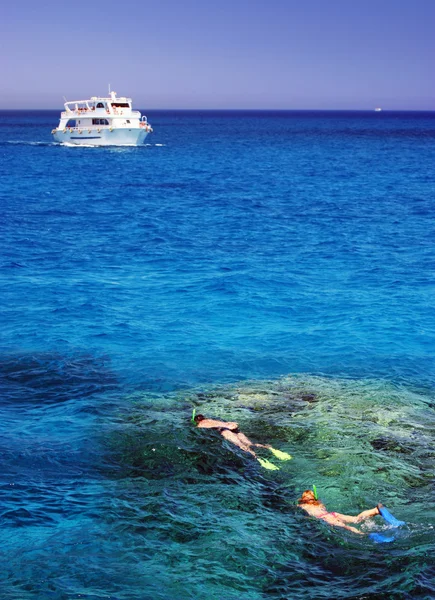 Mergulho com snorkel no Mar Vermelho — Fotografia de Stock