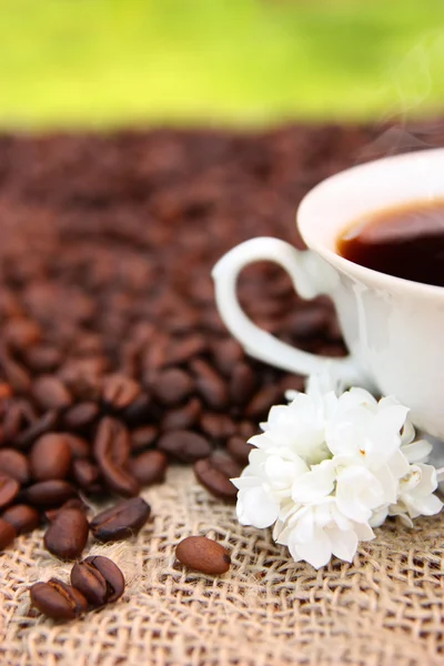 Cup of coffee and white flowers — Stock Photo, Image