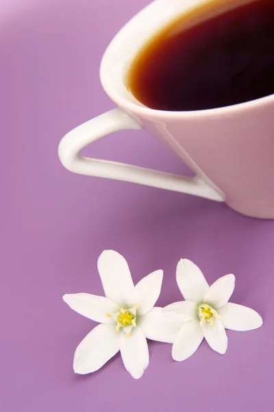 喝杯咖啡和白色的花朵 — 图库照片