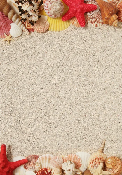砂と貝殻のフレーム — ストック写真