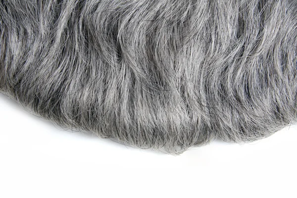 Grey hair — Stock Photo, Image