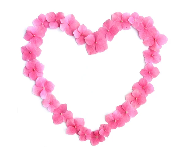 Petali di fiore cuore — Foto Stock