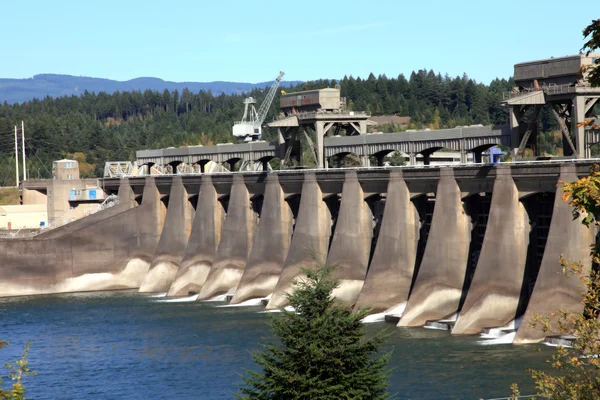 Barragem de Bonneville noroeste, Oregon . — Fotografia de Stock
