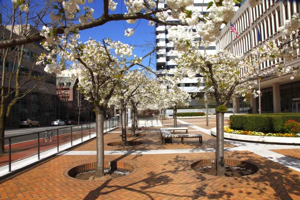 Unitus Plaza centro de Portland OU . — Fotografia de Stock