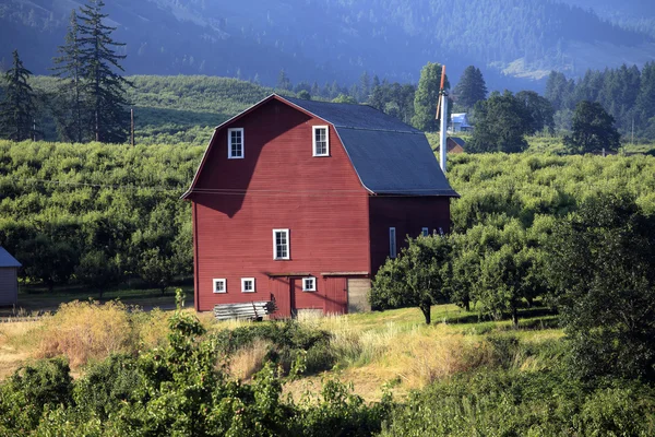 Celeiro vermelho & pomares de pêra no Hood River Valley Oregon . — Fotografia de Stock