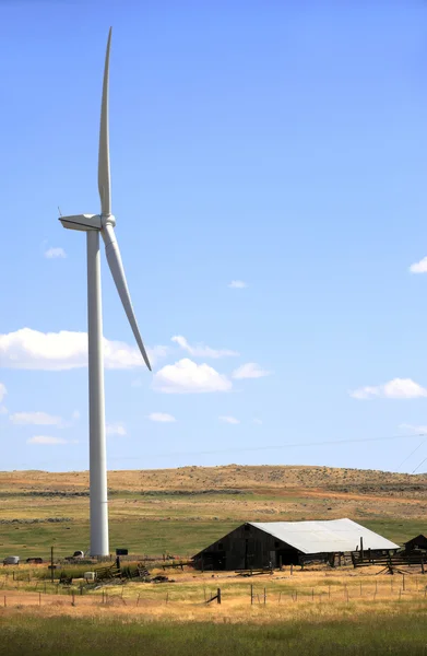 Ветряная турбина и хижина . — стоковое фото