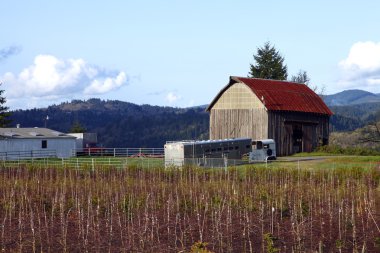 Old barn. clipart