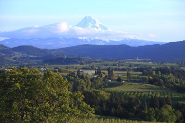 Hood River valley ve Mt. Hood