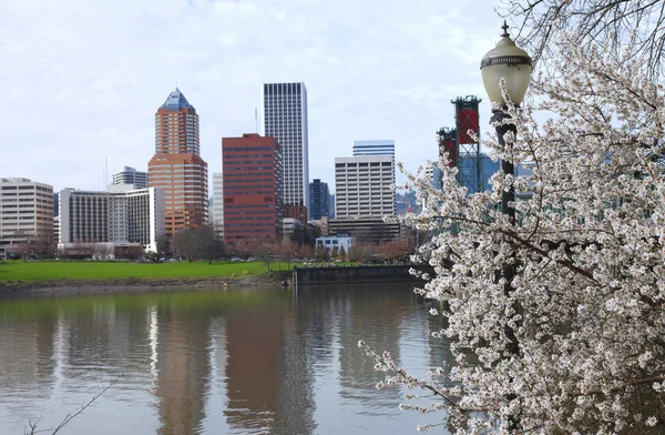 Signo de Primavera, Portland Oregon . —  Fotos de Stock