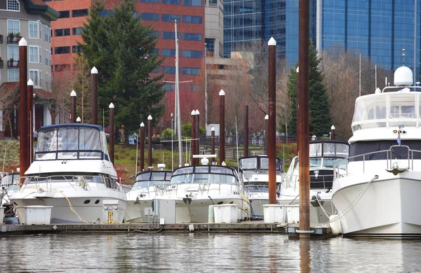 Yachts in a marina, Portland OR. — Stock Photo, Image