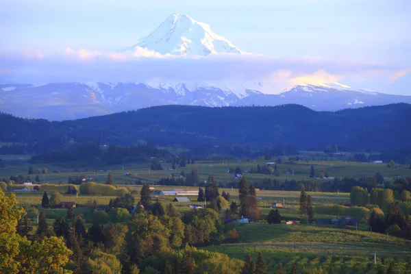 Hood River valley OR. & Mt. Hood. — Stock Photo, Image