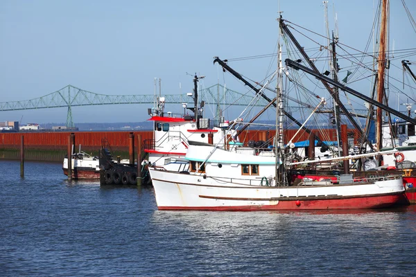Bateaux de pêche dans une marina, Astoria OR . — Photo