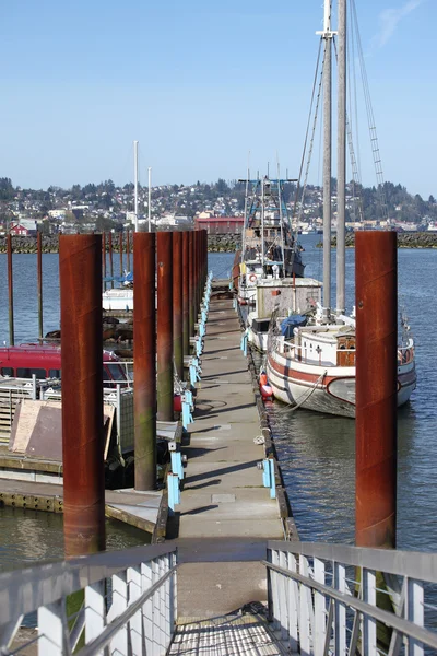 Marina in Astoria Oregon. — Stock Photo, Image