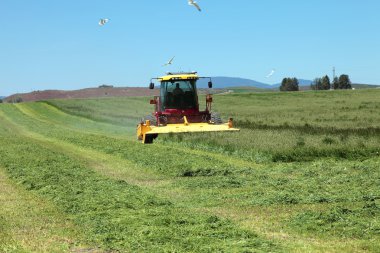 Organic agriculture & farmlands, south Oregon. clipart