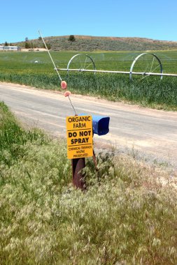 Organic agriculture & farmland, south Oregon. clipart