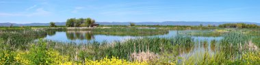 Milli Yaban hayatı Sığınağı & bataklıklar, oregon klamath falls.