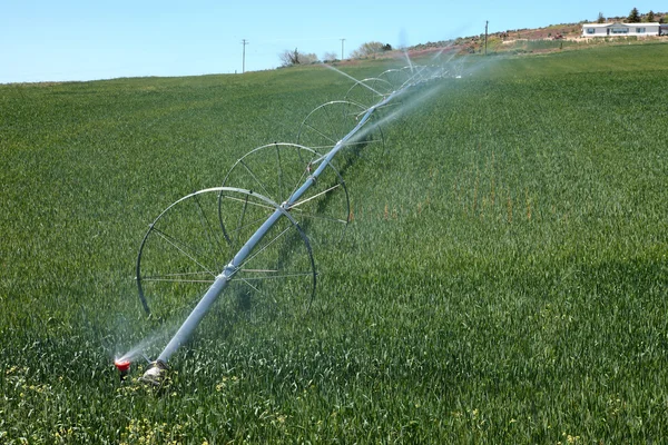 Pulverización automatizada en una granja de alfalfa, al sur de Oregón . —  Fotos de Stock