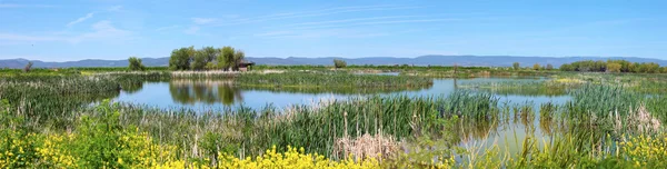National wildlife refuge & marshes, Klamath Falls Oregon. — Stock Photo, Image