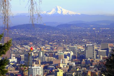 Mt. Hood & Portland panorama. clipart