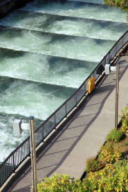 Fish ladders Bonneville Dam, Oregon. clipart