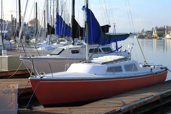 Förtöjda segelbåtar, portland oregon. — Stockfoto
