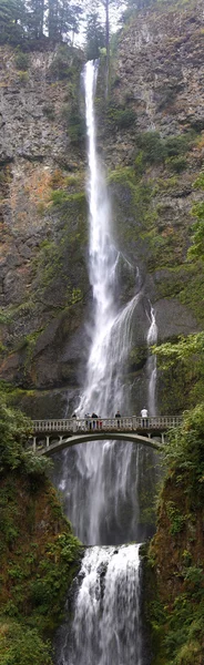 Multnomah Falls vertical panorama.