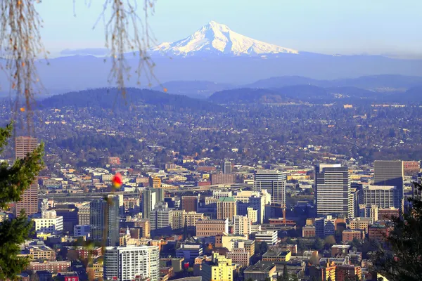 Mt. Hood & Portland panorama. — Stock Photo, Image