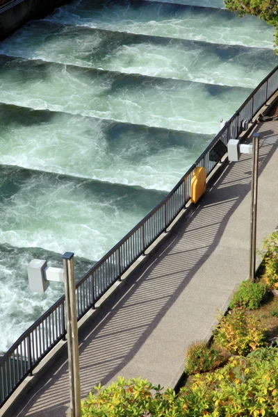 Fish ladders Bonneville Dam, Oregon. — Stock Photo, Image