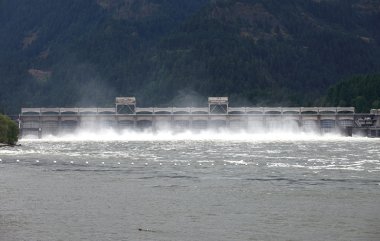 Bonneville Barajı, oregon.