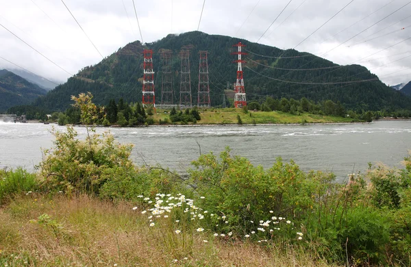 Electricity towers, Columbia river gorge Oregon. — Stock Photo, Image