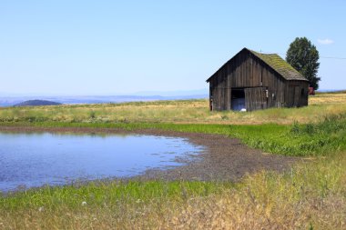 Old shack & a pond. clipart