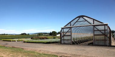 Greenhouse plant nursery, Oregon clipart