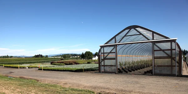 Vivero de plantas de invernadero, Oregon — Foto de Stock
