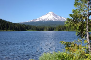 trillium göl ve mt. hood, oregon.