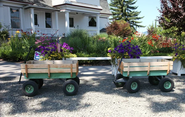 Två små vagnen vagnar i en trädgård. — Stockfoto
