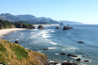 ecola state park, oregon kıyılarında.