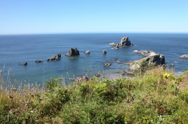 ecola state park, oregon kıyılarında.